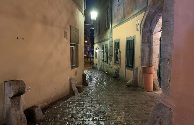 Tour de los misterios y leyendas de Viena - Foto 3