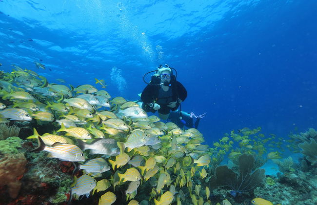 Bautismo de buceo en Cancún - Foto 3