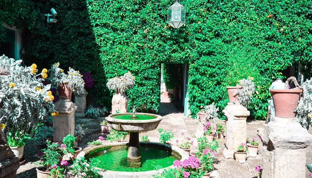 Visita del Palacio de Viana y sus patios - Foto 3