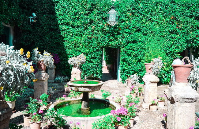 Visite du palais de Viana et de ses patios - Photo 3