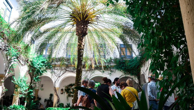 Visita del Palacio de Viana y sus patios - Foto 5