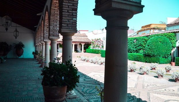 Visita del Palacio de Viana y sus patios - Foto 4