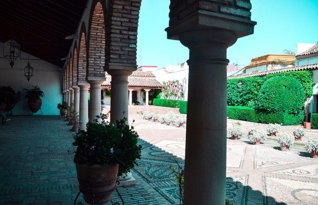 Visite du palais de Viana et de ses patios - Photo 4