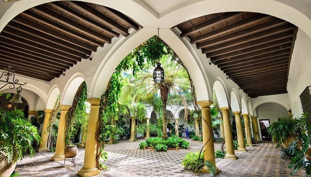 Visita del Palacio de Viana y sus patios - Foto 2