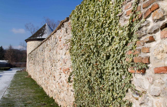 Cerveny Kamen Castle & Wine Route - Photo 5