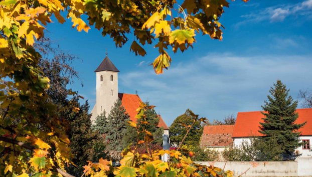 Cerveny Kamen Castle & Wine Route - Photo 3