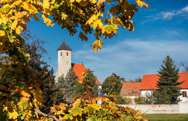 Cerveny Kamen Castle & Wine Route - Photo 3