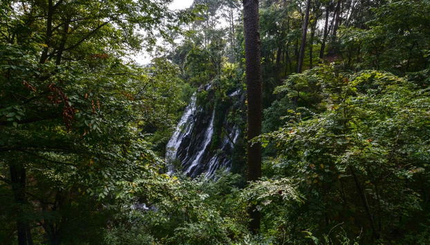 Excursión a Valle de Bravo - Foto 3