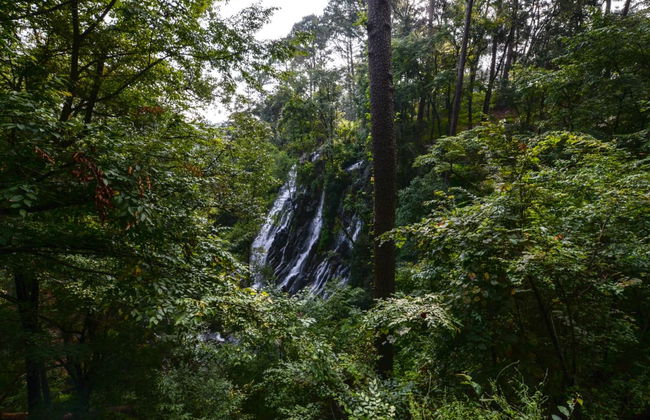 Excursión a Valle de Bravo - Foto 3