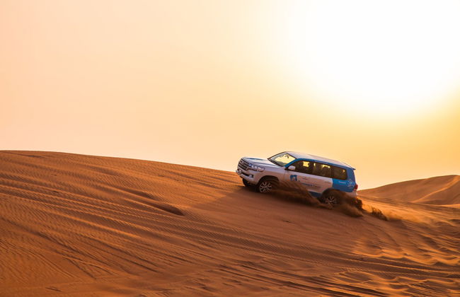 Safari por el desierto - Foto 6
