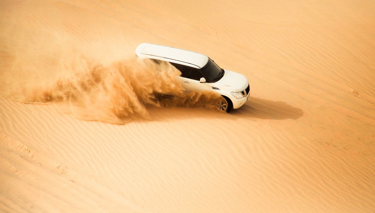 Desert Safari - Photo 1