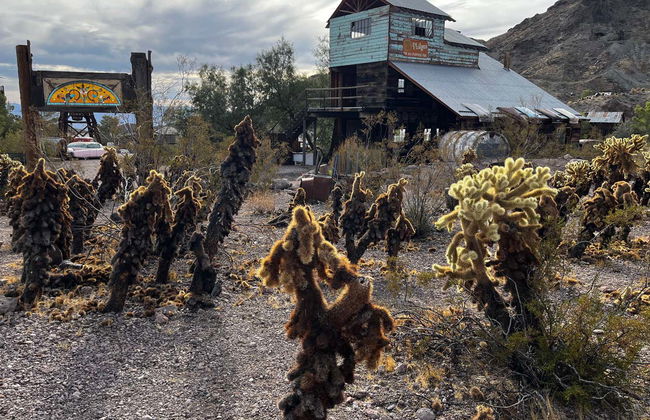 Excursão a Boulder City, Seven Magic Mountains e Nelson - Foto 4
