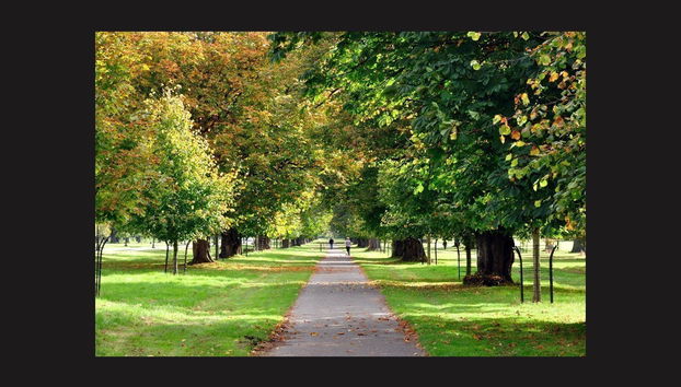 Autobús turístico de Dublín, Big Bus - Foto 3