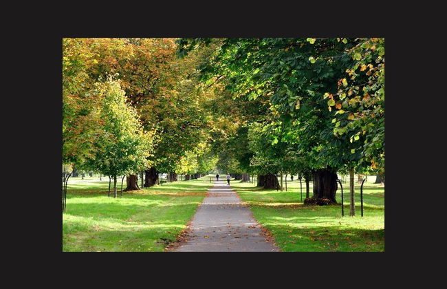 Big Bus Hop-on Hop-Off Tour Dublin - Photo 2