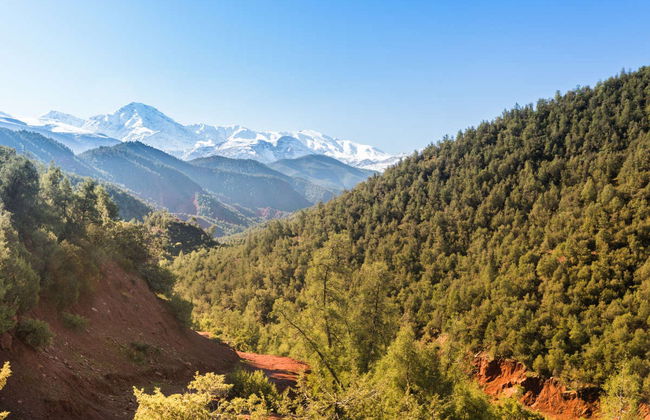Escursione alla Valle dell'Ourika - Foto 7