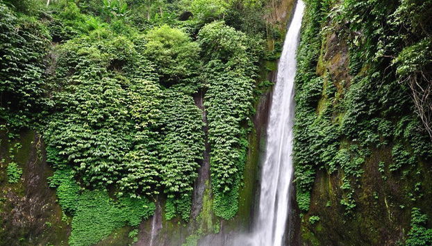 Excursion privée à Tanah Lot, aux cascades Nungnung et Bedugul - Photo 3