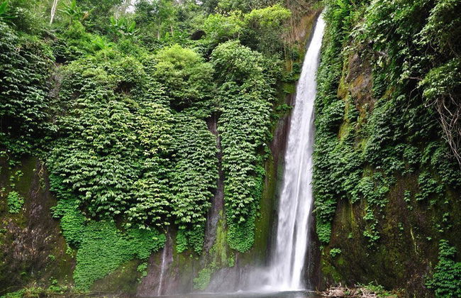 Excursion privée à Tanah Lot, aux cascades Nungnung et Bedugul - Photo 3