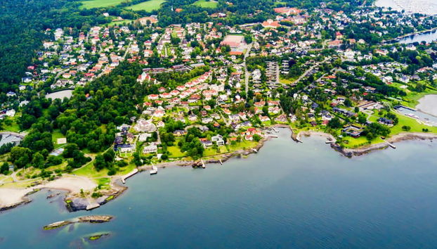 Offerta: Tour di Oslo + Crociera - Foto 4