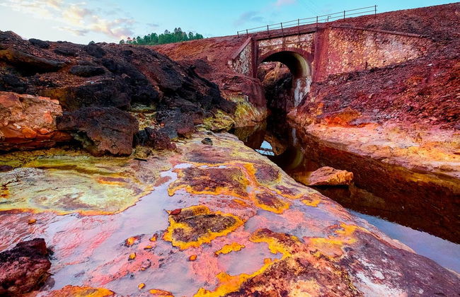 Sierra de Aracena Full-Day Trip - Photo 1