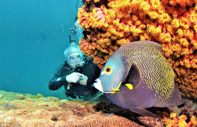 Buceo en Arraial do Cabo - Foto 3