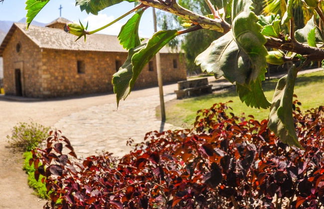 Excursión a Santa Rosa de Quives y Canta - Foto 5