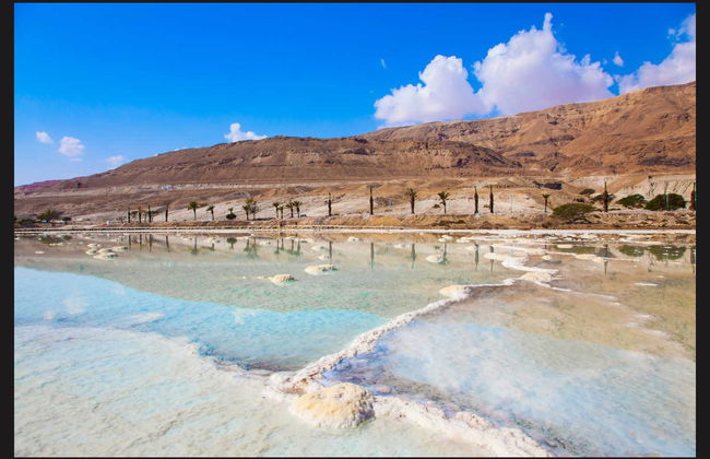 Dead Sea Excursion - Foto 8