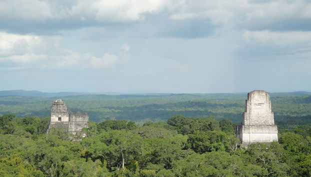 Tour del parque arqueológico Tikal - Foto 3