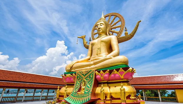 Tour della città di Samui di mezza giornata - Foto 2