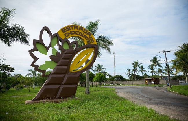 Day Trip to a Cocoa Farm - Foto 2