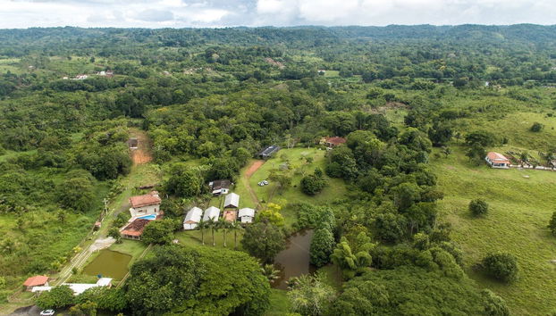 Day Trip to a Cocoa Farm - Photo 4