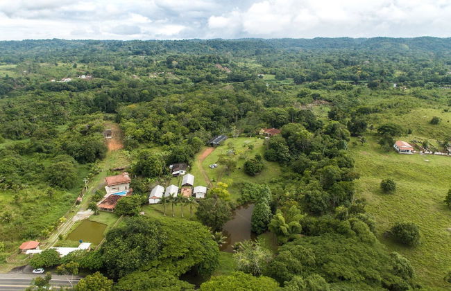 Day Trip to a Cocoa Farm - Foto 4