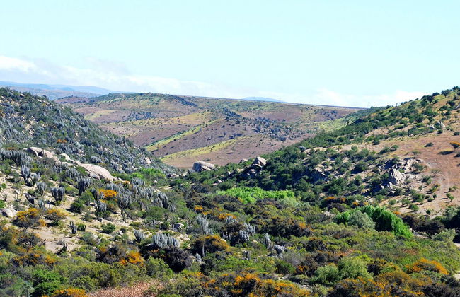 Valle del Encanto Tour - Photo 3