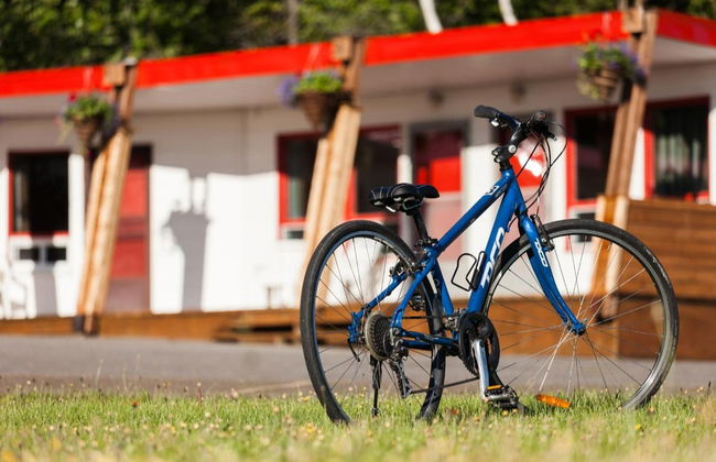 Alquiler de bicicleta en la isla de Orleans - Foto 2
