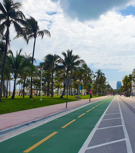 Foto de Free tour por Miami Beach