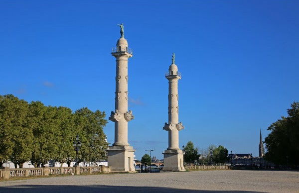 Visite historique à la découverte du port de Bordeaux - Foto 6
