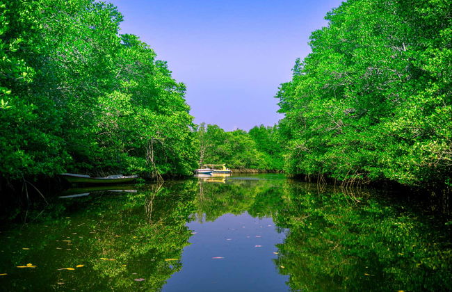 Nusa Lembongan Cycling Tour - Foto 4
