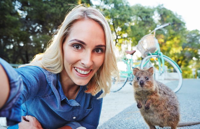 Tour por Perth y Fremantle + Barco a la isla de Rottnest - Foto 4