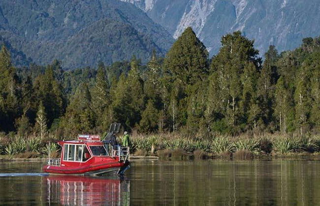 Paseo en barco por el lago Mapourika - Foto 6