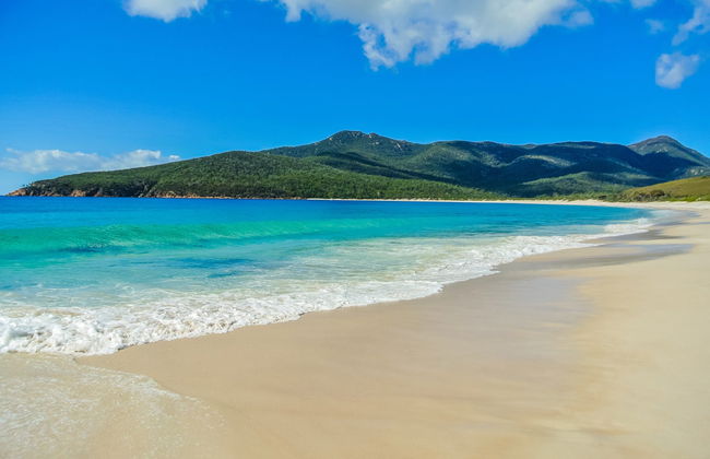 Paseo en barco por la península de Freycinet y Wineglass Bay - Foto 1