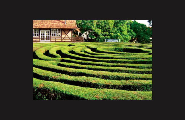 Day Trip to Nova Petrópolis - Photo 2