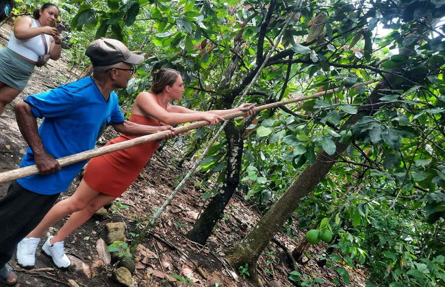 Tour del cacao por Puerto Plata - Foto 6