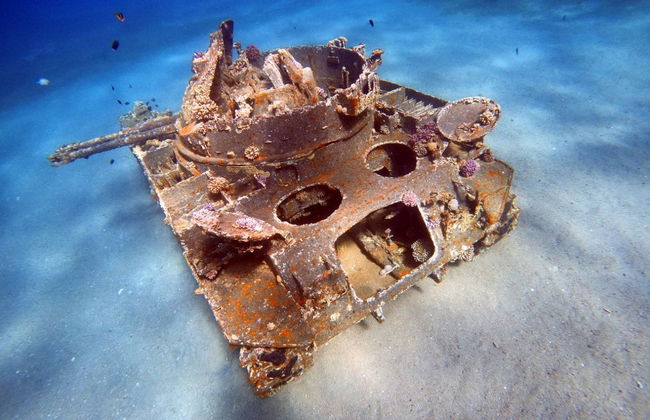 Red Sea Scuba Diving Tour - Photo 4