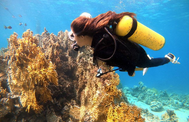 Red Sea Scuba Diving Tour - Photo 6