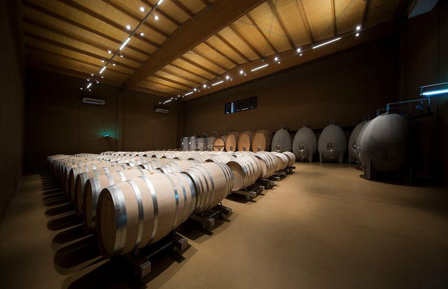Visita a las bodegas José Pariente - Foto 3