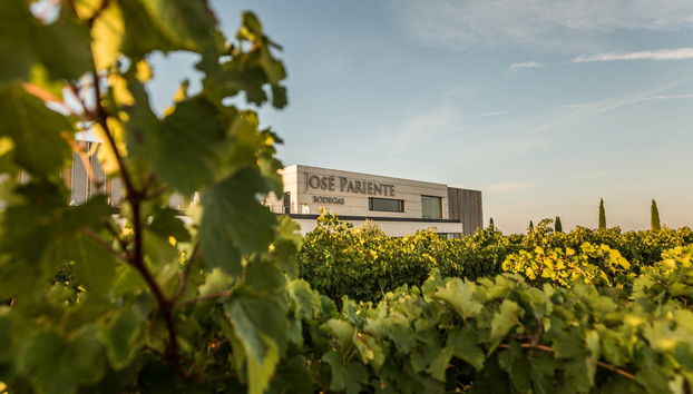 Bodegas José Pariente