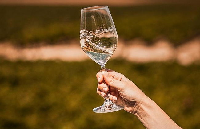 Visita a las bodegas José Pariente - Foto 7