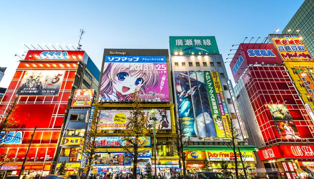 Autobus turistico di Tokyo - Foto 2