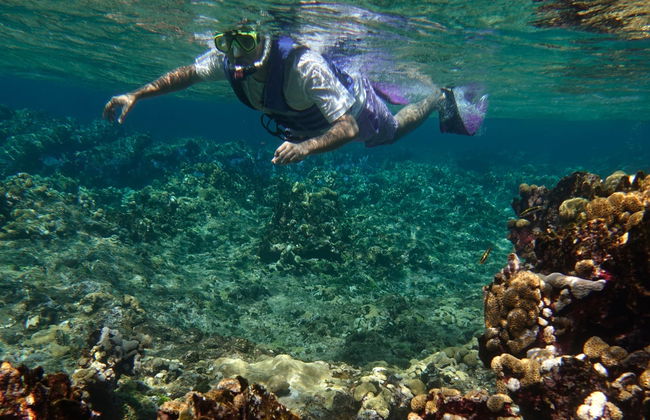 Snorkel en San Andrés - Foto 4