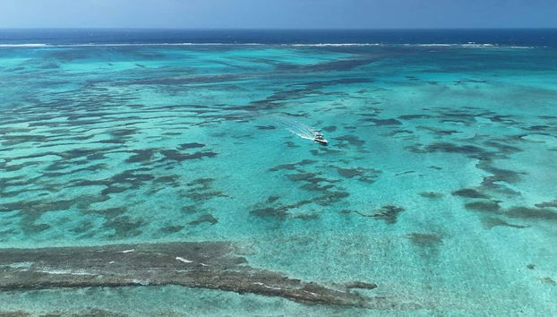 Snorkel en San Andrés - Foto 2
