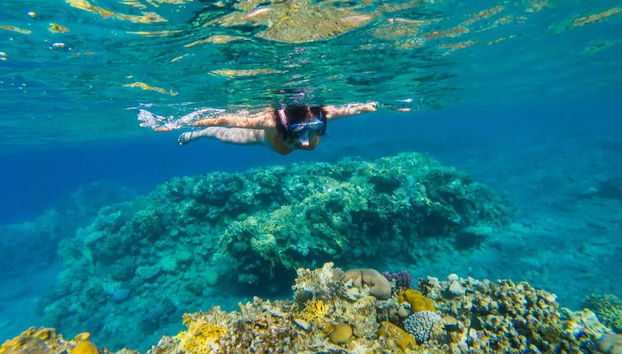 Snorkel en San Andrés - Foto 4